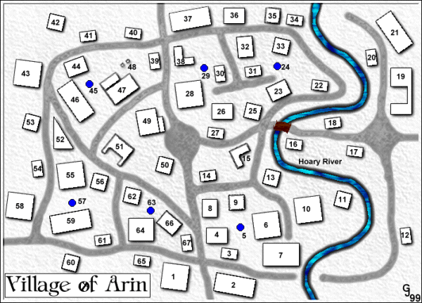 The Village of Arin